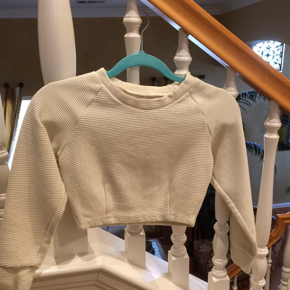 AMERICAN APPAREL CROPPED RAYON TOP —super rare